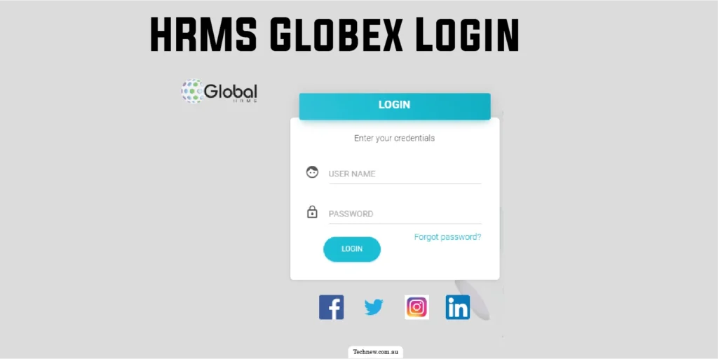 HRMS Globex Review