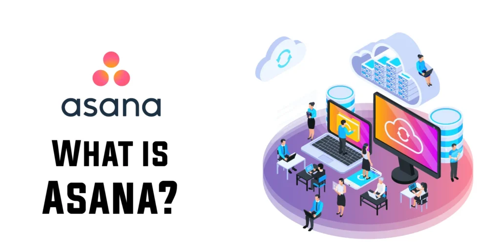 What is Asana Software