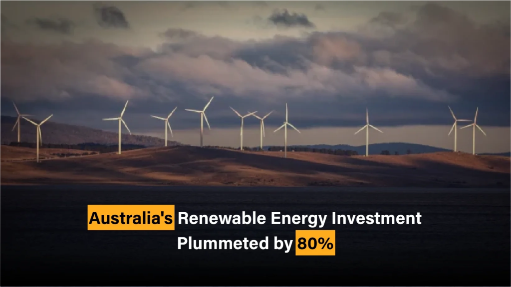 Renewable energy investment