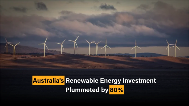 Decoding the Puzzle: Why Australia’s Renewable Energy Investment Plummeted by 80%