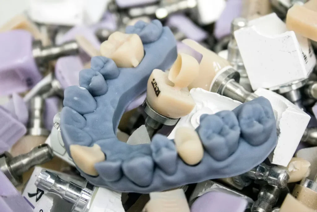 a close up shot of dental model